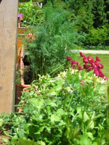 564481_584294844914518_1683514058_n