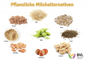 Milchinfo-Alternativen