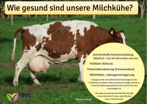 Milchinfo-Kuhgesundheit