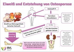 Milchinfo-Osteoporose