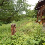 Blockhaus und Blühstreifen