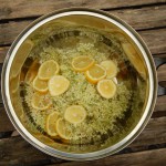 Blütendolden und Zitrone