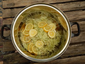 Blütendolden und Zitrone