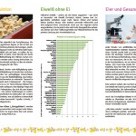 flyer-eier2_Internet